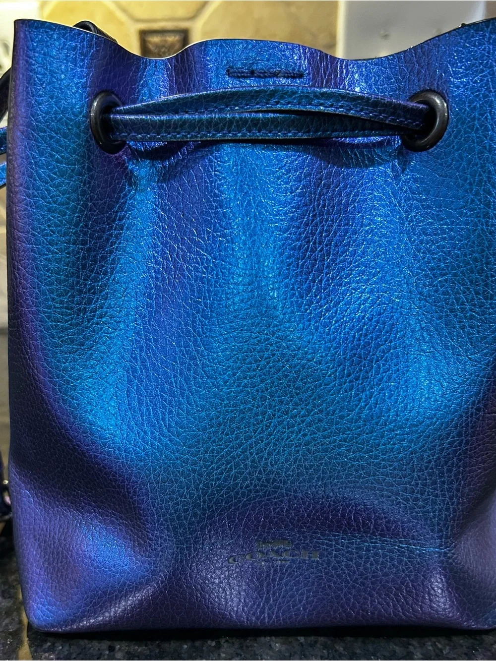 Coach NASA F29204 DerbyHologram Crossbody Blue PurplePebbled Leather Bag